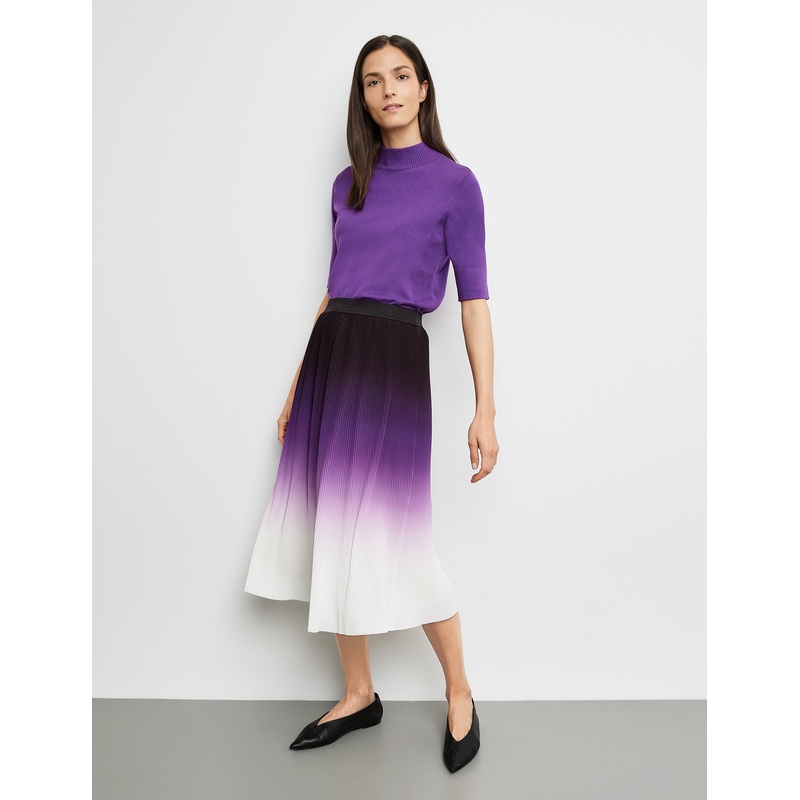 Pleated Skirt With Colour Gradiation And Elasticated Waistband