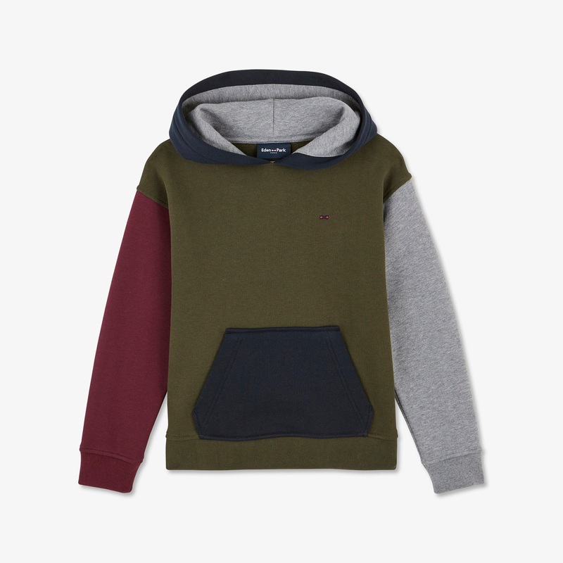 Burgundy Colourblock Hooded Sweatshirt With Multicolour Embroidered Detail