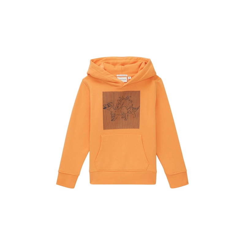 Special Artwork Hoody