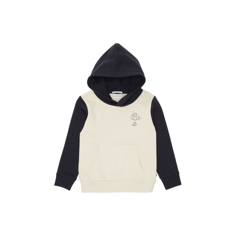 Colorblock Hooded Sweatshirt