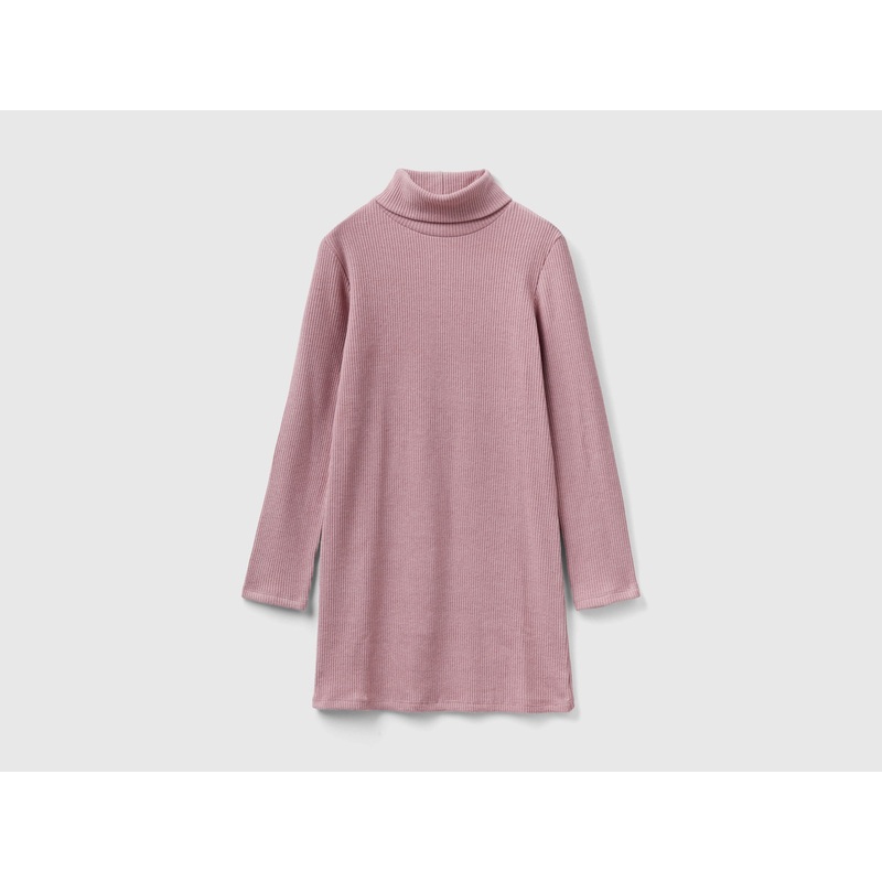 Warm Ribbed Turtle Neck Dress