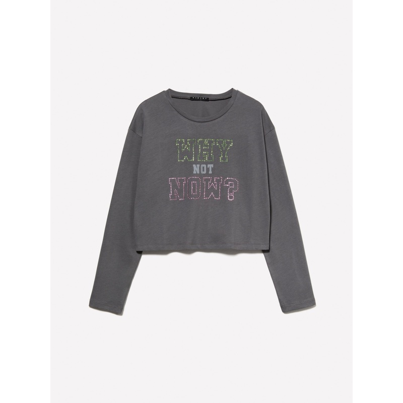 Gray Cropped T-Shirt With Rhinestones