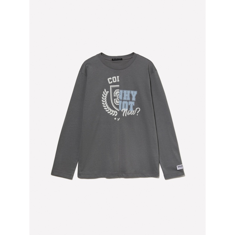 Gray Color Block T-Shirt With Print