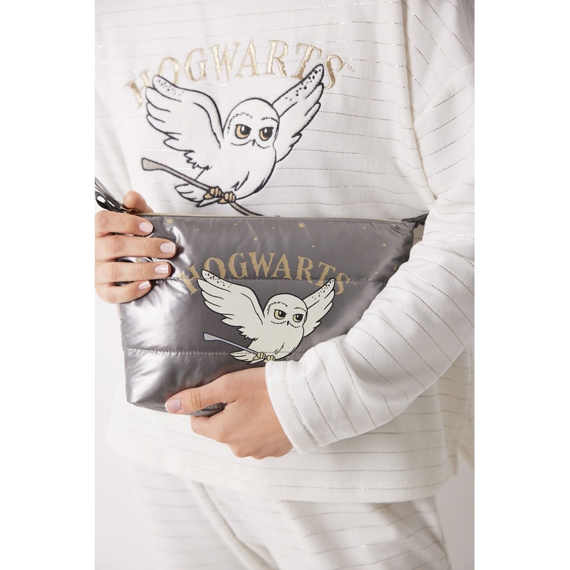 Medium Padded Hogwarts Case