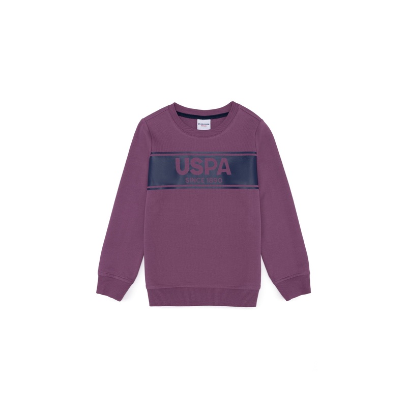 Mauve Sweat Shirt