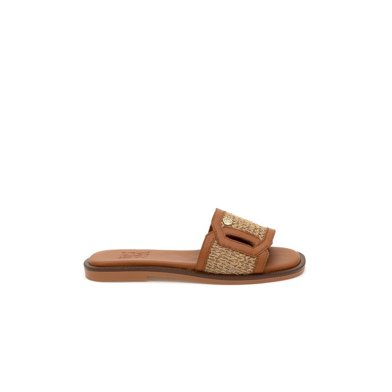 Brown Slipper